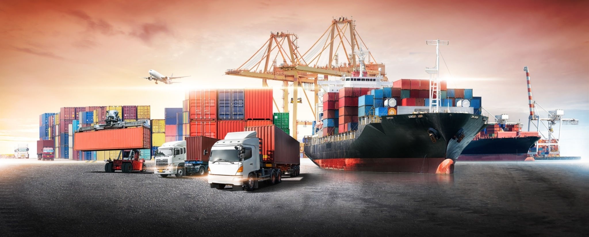 Import and Export Templates